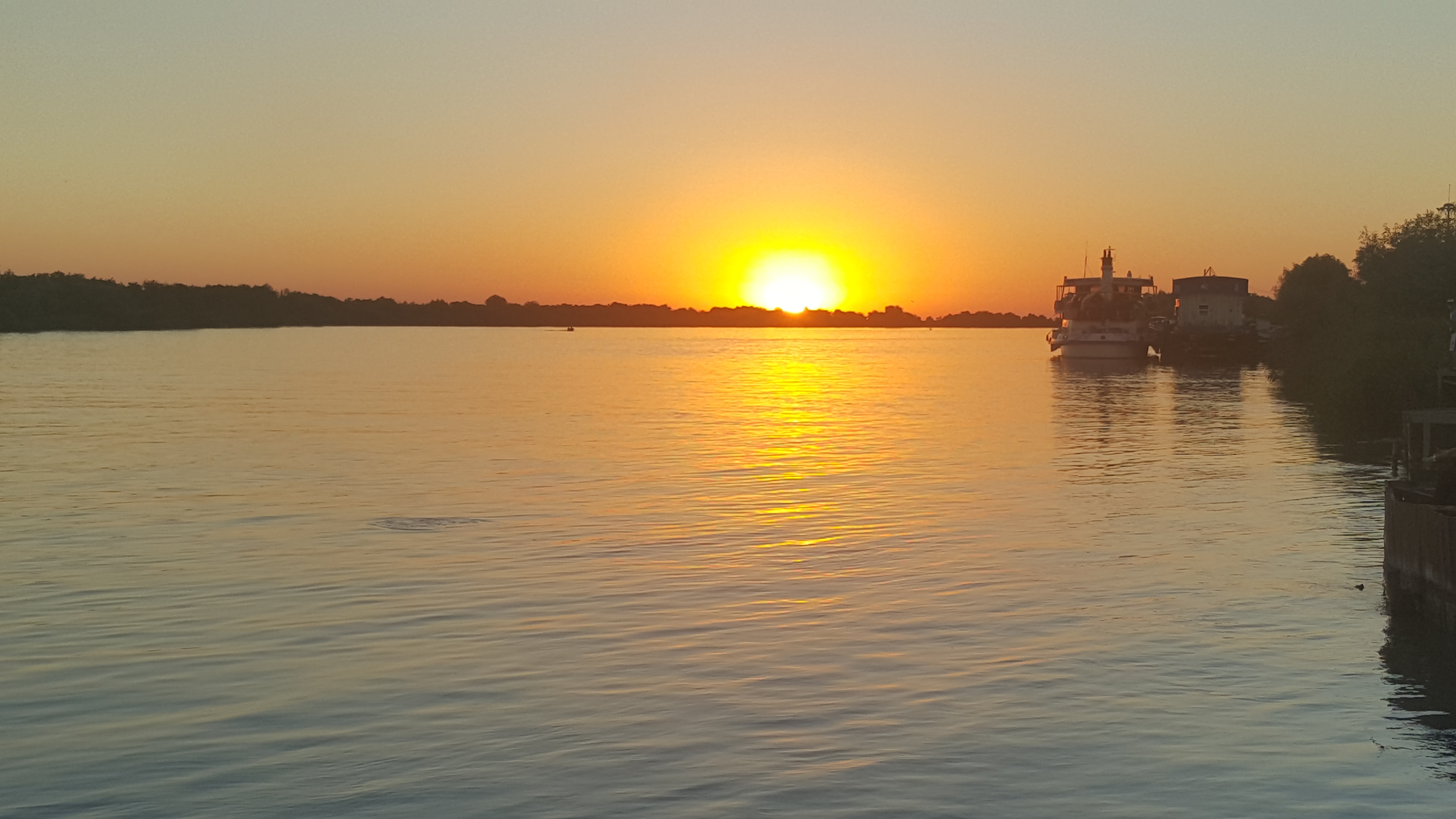 Apus in Delta Dunarii 2